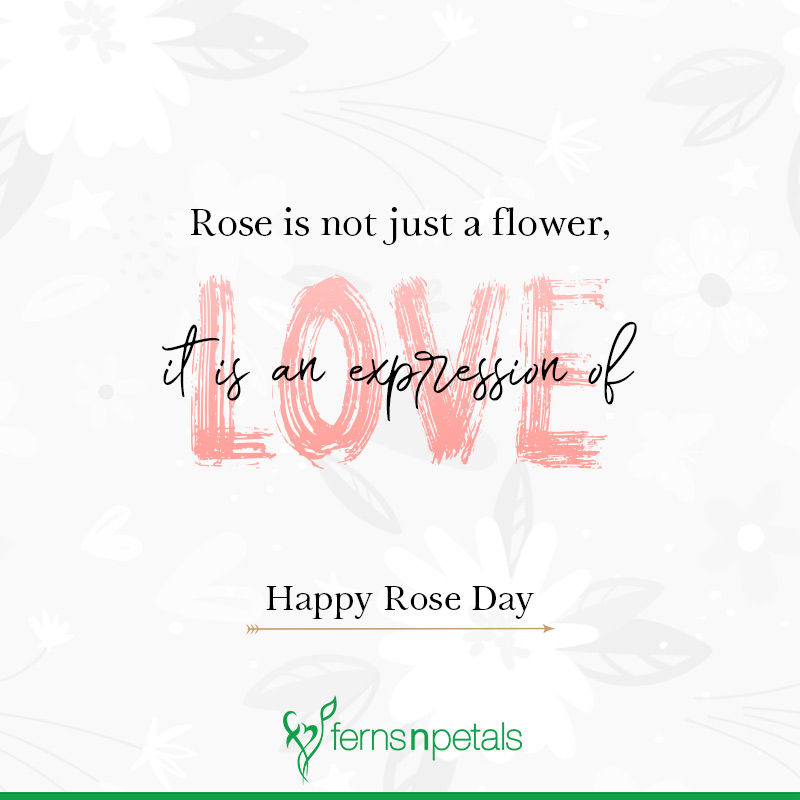 happy rose day status.jpg